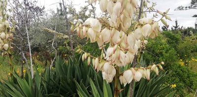 IMG_20200518_084924
