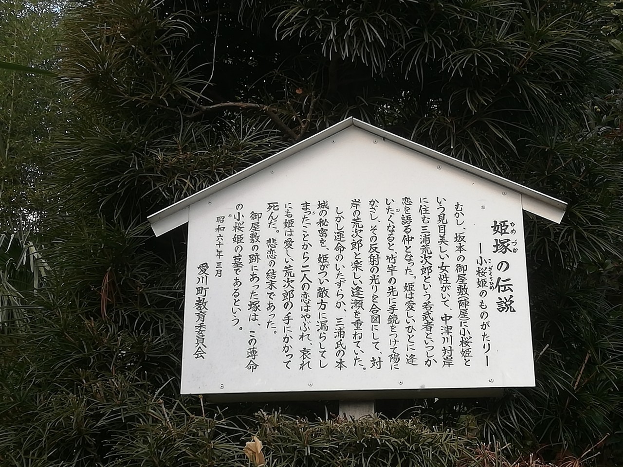 天野神社 神奈川県愛甲郡愛川町中津 おもいつかへん 天野神社 神奈川県愛甲郡愛川町中津 おもいつかへん
