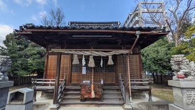 PXL_20210224_002831276