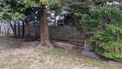 PXL_20210224_002858851