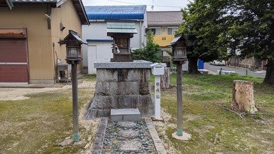 PXL_20210704_082848093