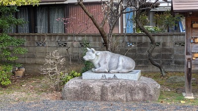 PXL_20210224_002842742