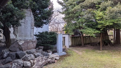 PXL_20210224_002917973