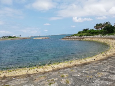 IMG_20190515_103608