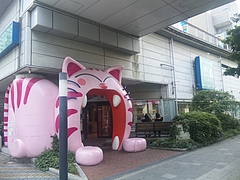 お台場 猫カフェ