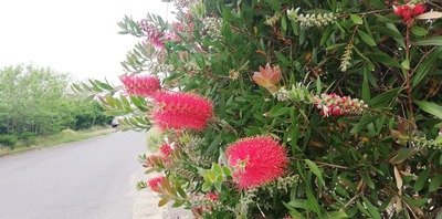 IMG_20200518_085415