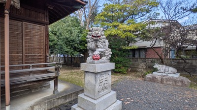 PXL_20210224_002838165