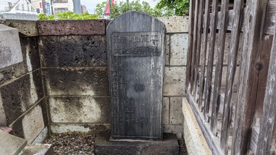 PXL_20210817_221301847