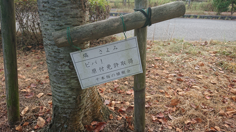 キャプチャ.PNG6