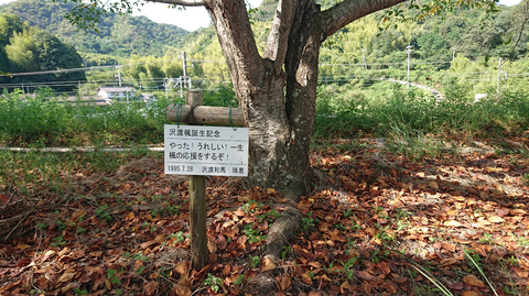 キャプチャ.PNG2