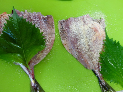 DSC03302