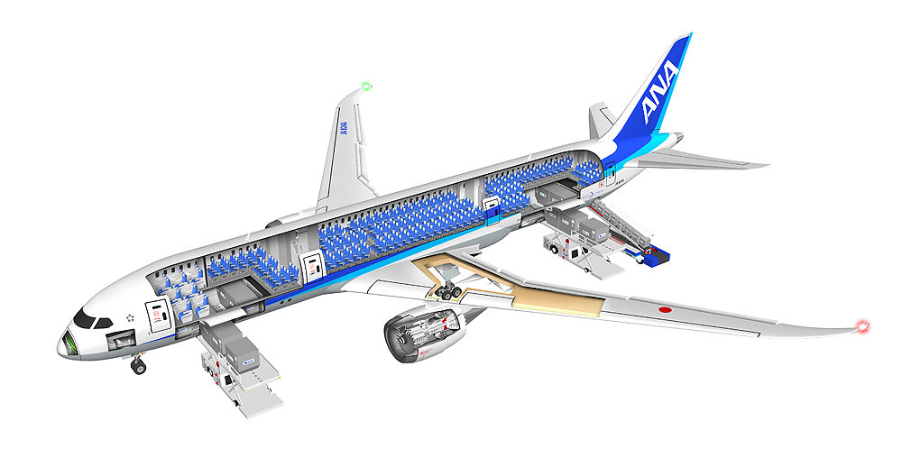 飛行機の中間 旅客機anaボーイング787 8のしくみを説明 のりものの透視図イラスト