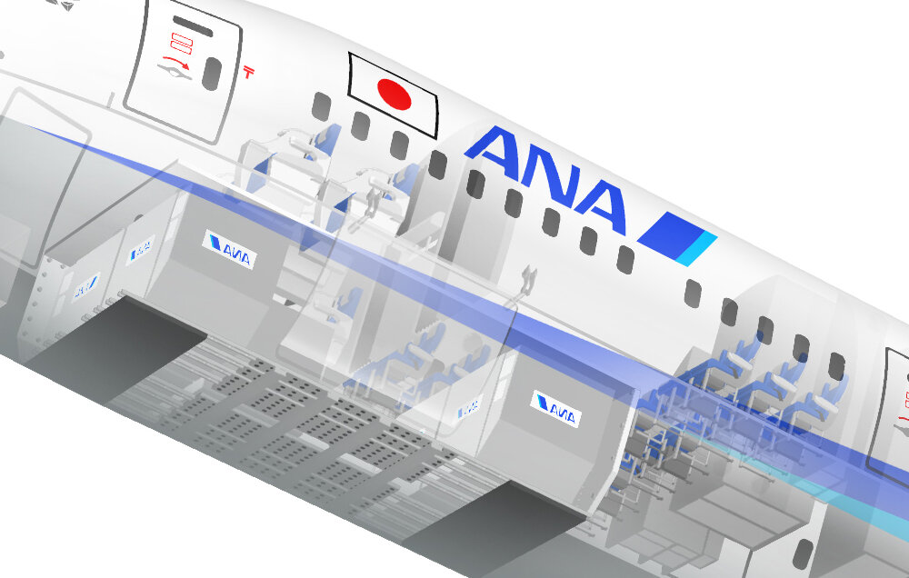 飛行機の中間 旅客機anaボーイング787 8のしくみを説明 透視図イラスト