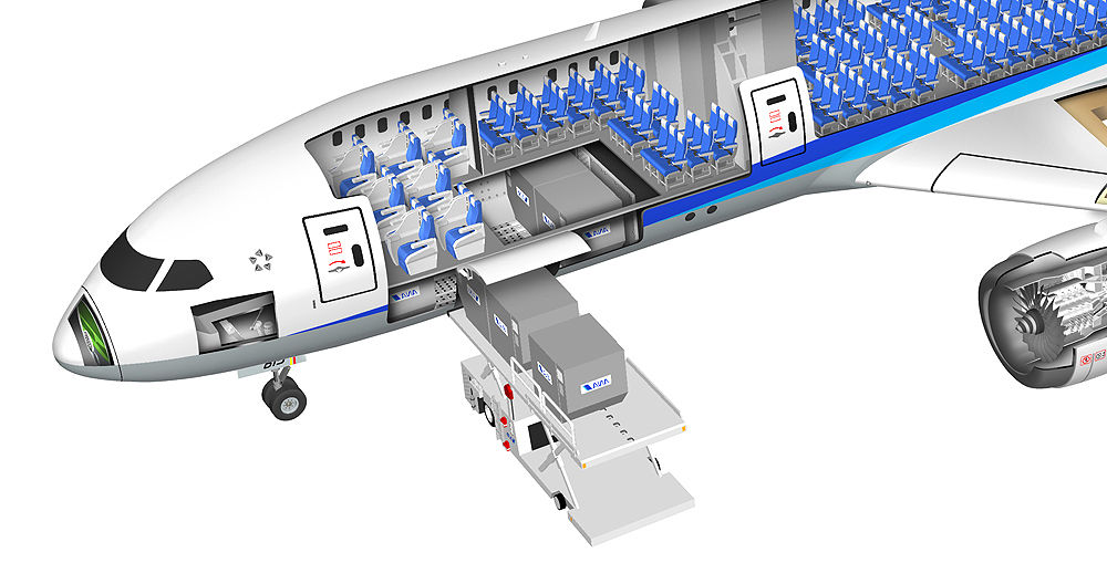 飛行機の中間 旅客機anaボーイング787 8のしくみを説明 透視図イラスト