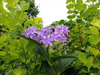 DSCF4630_R