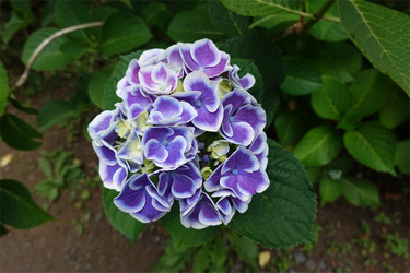 DSC08160_R