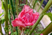 DSCF2684_R