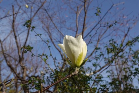 DSC04406_R