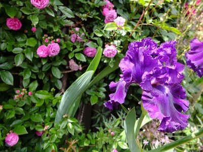 DSCF2844_R