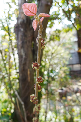 DSC06282_R
