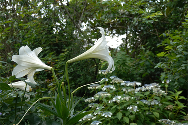 DSC08447_R