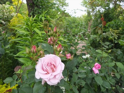 DSCF2570_R