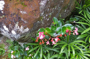 DSCF4380_R