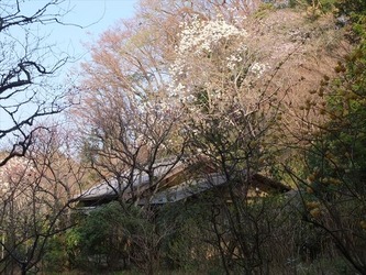 DSCF8861_R