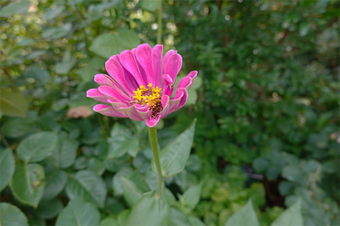 DSC08865_R