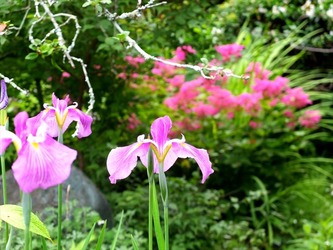 DSCF0445_R