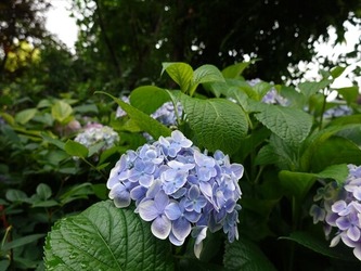 DSC00783_R