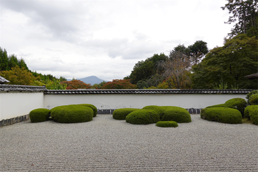 DSC03611_R