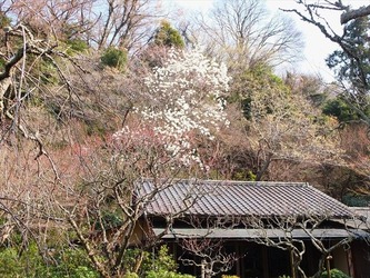DSCF8851_R