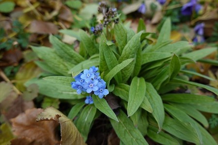DSC03626_R