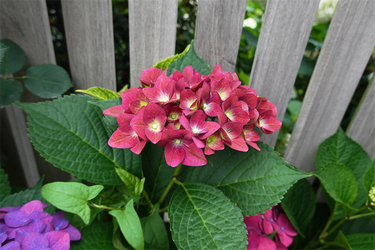 DSC08388_R
