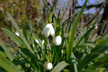DSC05952_R