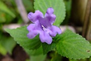 DSCF5043_R
