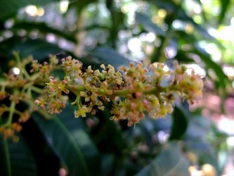 DSCF9254_R