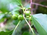DSCF2689_R