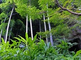 DSCF2609_R