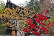 DSCF1547_R