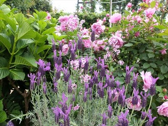DSCF0072_R