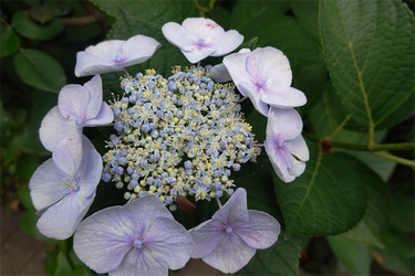 DSC08306_R