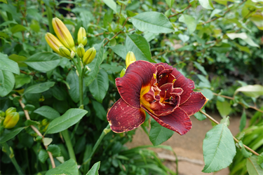 DSC08380_R