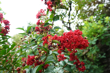 DSC07591_R
