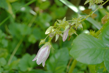 DSC09043_R