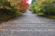 DSCF7516_R