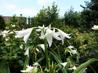 DSCF1256_R