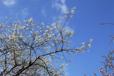 DSC06382_R