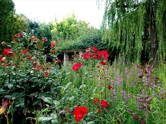 DSC01200_R